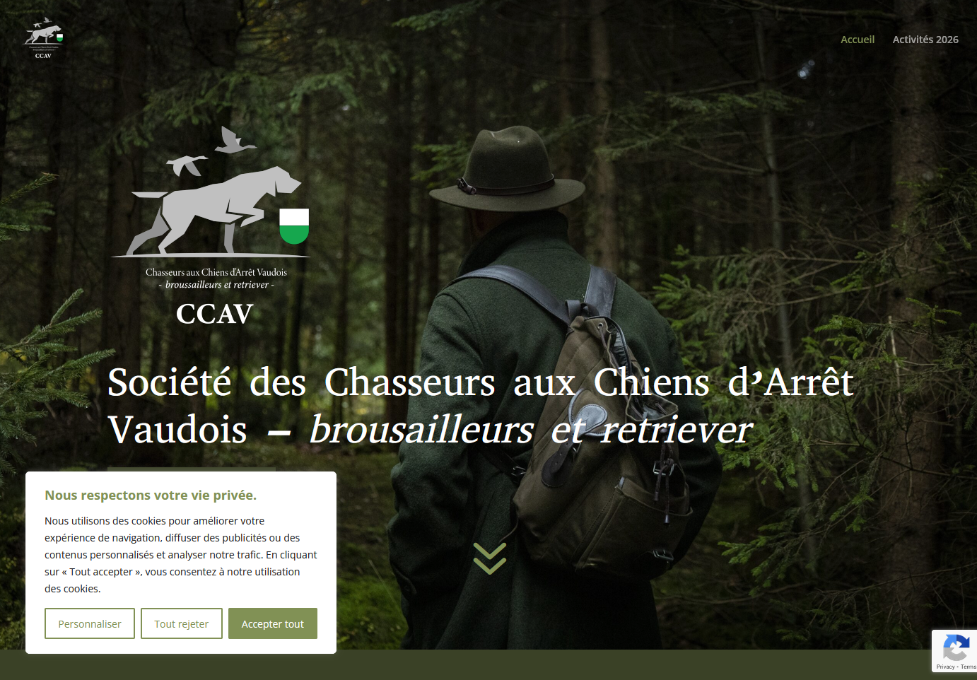 ccav.ch